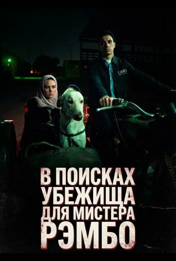 В поисках убежища для мистера Рэмбо